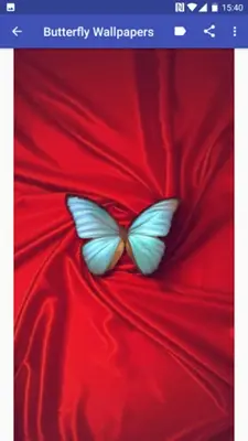 Butterfly Wallpapers android App screenshot 0