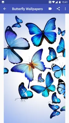 Butterfly Wallpapers android App screenshot 2