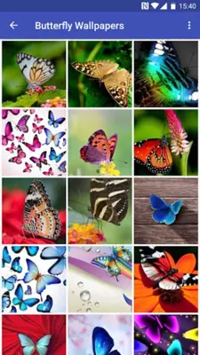 Butterfly Wallpapers android App screenshot 3