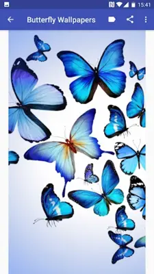 Butterfly Wallpapers android App screenshot 6